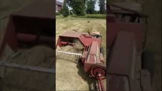 IH Baler Stomping Through Heavy Hay farmall806 IHbaler [upl. by Gad]