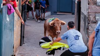 Toros tercera tarde Barrio SANT PERE  Toro de calle  Onda [upl. by Nosirrah]