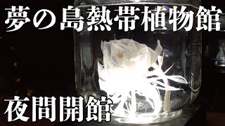 夢の島熱帯植物館 夜間開館イベント「夜の植物館in夢の島」に行って来ました [upl. by Walling]