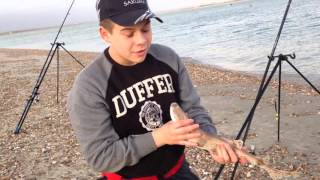 Beach fishingsandy point [upl. by Cioffred]