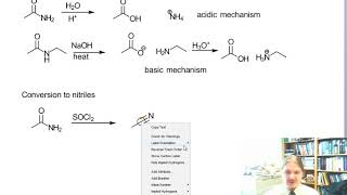 Reactions of Amides [upl. by Holmann889]