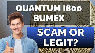 Quantum i800 Bumex Review 2024 What Are the 🤔 Opinions on This Automatic Trading Platform 💸 [upl. by Buzzell35]