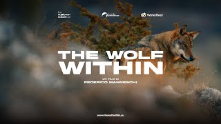 The Wolf Within un film per la conservazione del lupo in Europa  TRAILER ITA [upl. by Shriner]