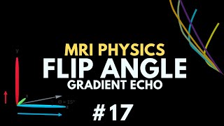 Flip Angle and Ernst Angle in Gradient Echo MRI  MRI Physics Course 17 [upl. by Irovi]