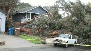 Several spots in East Bay hit with storm damage from rain strong wind gusts [upl. by Oilut162]