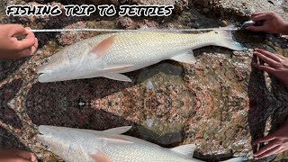 South Padre Island Isla Blanca Jetties Fishing Lots of Red Fish Recently [upl. by Stern]