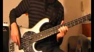 Transcending  Red Hot Chili Peppers Bass Lesson [upl. by Bekki]