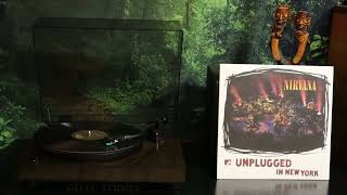 Nirvana  MTV Unplugged 1994 Full Album Vinyl RIp [upl. by Leizar]