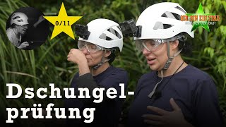 Leyla ERNEUT bei Dschungelprüfung quotReparaTorturquot ⭐️  Dschungelcamp 2024 [upl. by Bonnice967]