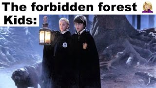 HARRY POTTER MEMES 61 [upl. by Evy]