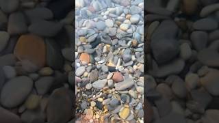 Going deep for rocks rocks rockhounding lakemichigan [upl. by Neeli335]