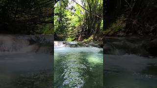 Down by the River viralshort youtube jamaican [upl. by Warner]