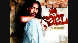 Sael  Maladive Attirance Album Témoignage 2oo9 Promo Only Use [upl. by Giusto]