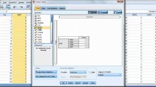 Tabela de Contingência no SPSS 18 [upl. by Introc]