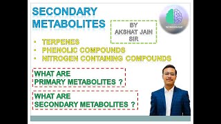 Secondary Metabolites In Plants In Hindi CSIR Secondary Metabolites In Plants In Hindi CSIR [upl. by Ehsiom]