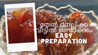 Honey gooseberry  തേൻ നെല്ലിക്ക recipe in Malayalam [upl. by Cahn981]