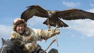 Il dresse un aigle pour chasser à sa place  ZAPPING NOMADE [upl. by Icaj]