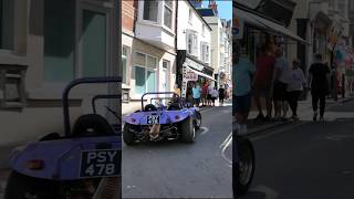 Incredible Beach Bug Discovery In Weymouth Uk [upl. by Muhcan21]