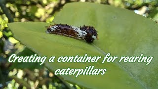 Creating a container for rearing caterpillars [upl. by Araz]