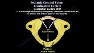 Pediatric Cervical Spine Ossification Centers  Everything You Need To Know  Dr Nabil Ebraheim [upl. by Goodhen]