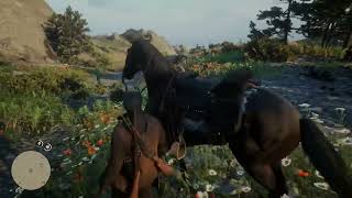 2 Free Cattleman Revolver Location in RDR2 [upl. by Akelahs]