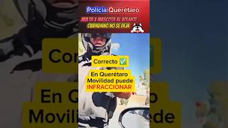 Multa x mascota al Volante policia noticias [upl. by Bradney861]