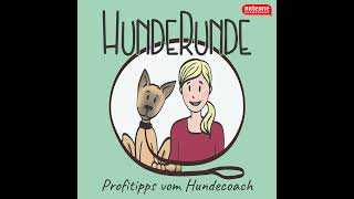 73 Das gehört mir Territoriales Verhalten beim Hund [upl. by Chaim378]