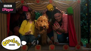 Waffle the Wonder Dog Top 5  Family Moments  CBeebies [upl. by Tirza]