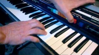 Organo Combo Teclado Welson Gipsy [upl. by Oirrad]