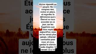 Verset biblique Exode ch14 verset 13 14 🔥 Ne tagite pas Dieu combattra comme il la fait avec [upl. by Thgiwd]