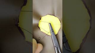 Walking Sutures surgery suturepractice vet medicine surgeon surgeonlife goodtoknow sewing [upl. by Anircam]