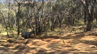 PX Ranger offroad at Anglesea Heath Vic [upl. by Nohtanhoj]