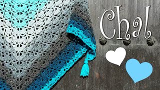 Precioso chal a crochet [upl. by Clarke524]