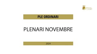 Sessió plenària extraordinària 11 Novembre [upl. by Normy]