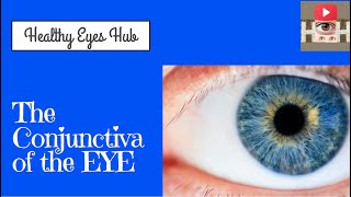 The Conjunctiva of the Eye [upl. by Shue]