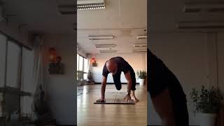 Quick Mobility Flow 3 yoga mobilityflow [upl. by Riabuz]