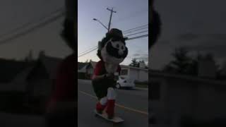 Furry Skateboarding with Happy Hans [upl. by Hathaway]