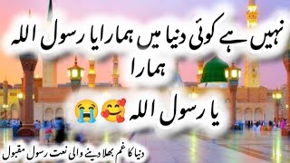 Nahin Hai Koi Duniya Main Hamara Ya Rasool Allah  Ya Rasool Allah  Tehmikiduniya [upl. by Lah832]