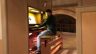 SE Johansson Dona nobis amorem Henrik Berg organ [upl. by Nolaf]