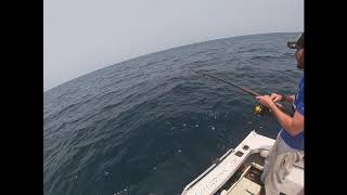 Shellharbour NSW Australia Fishing great day on the water nannygai Blue Morwong Flathead [upl. by Silvain]