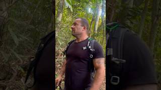 SOBRE ABRIGOS de selva  bushcraft survival sobrevivência [upl. by Koressa]