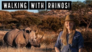 Rhino Safari at Waterburg Plateau Namibia [upl. by Cinda]