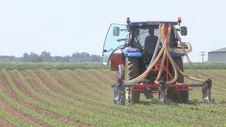 Fertiliser le maïs autrement avec la méthode Cultan  ARVALISinfosfr [upl. by Bogoch]