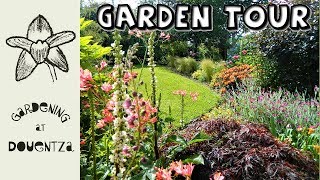 Garden Tour in July  Sunday stroll amp gardening chat [upl. by Joice219]