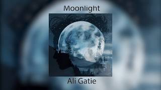 Ali Gatie  Moonlight Lyrics Prod Adriano [upl. by Shenan]