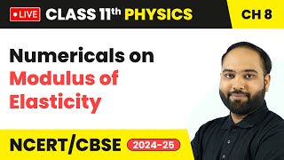 Numericals on Modulus of Elasticity  Mechanical Properties of Solids  Class 11 Physics Ch 8 live [upl. by Magnolia]