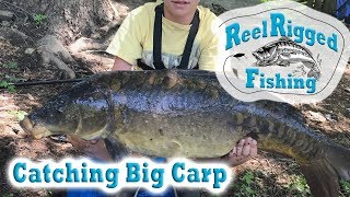 Catching Large Carp At The Blackstone River [upl. by Nodmac991]