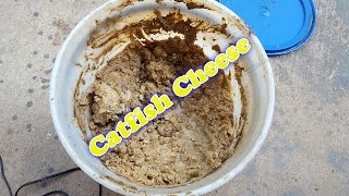 What is Catfish Cheese and DIY Catfish Cheese Punch Bait [upl. by Ardnikal]