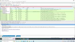 Malware Traffic Analysis with Wireshark  1 [upl. by Merilyn244]