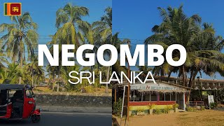 NEGOMBO SRI LANKA 8 days in paradise staying at Negombo Beach  where to eat what to see and do [upl. by Acinorehs]